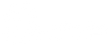 TOYORACING